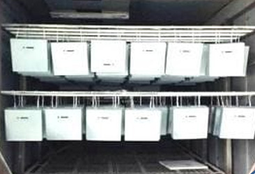 ���-�ֶ���